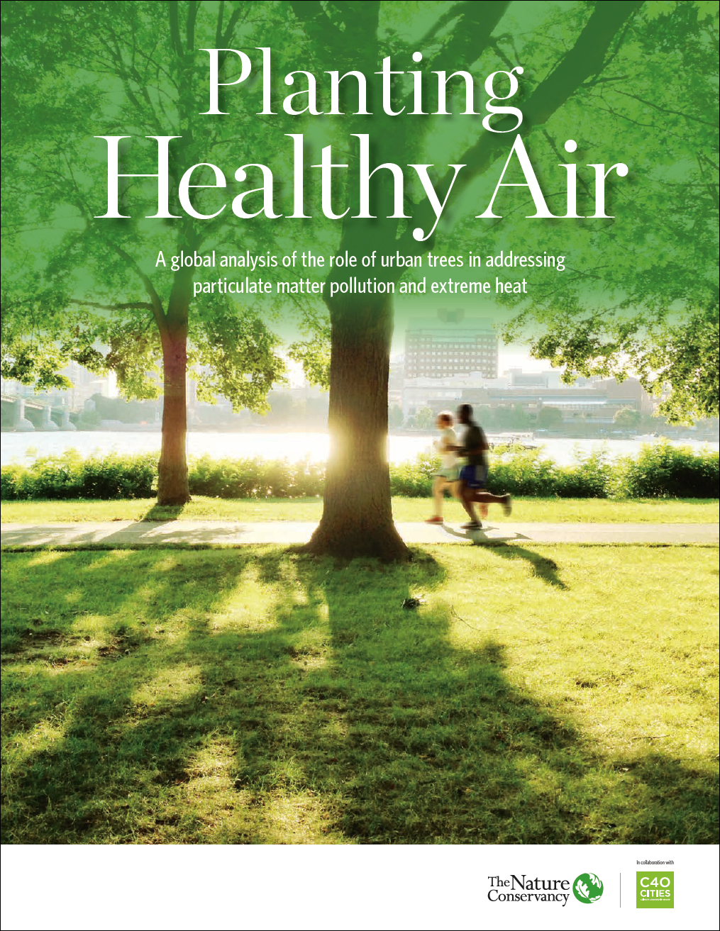 Planting Healthy Air Report - A global analysis of the role of urban trees in addressing particulate matter pollution and extreme heat.