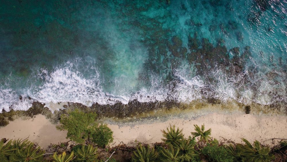 Aerial view of a beach with natural shoreline and waves