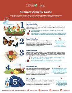 Summer Activity Guide