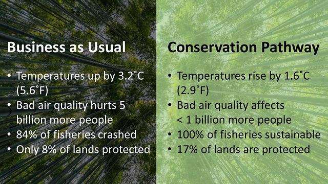 Business as usual compared to conservation pathway showing changes in temperature, air quality, fisheries, and protected land.