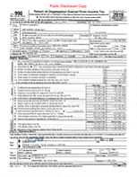 Screenshot of IRS form 990.